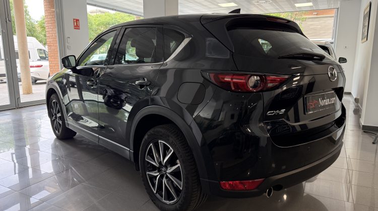 IMG 6195